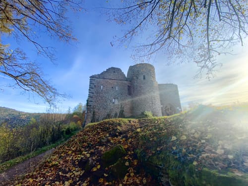 Drei Buchen und Burg Neuscharfeneck ab Dernbach