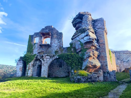 Durch das Hainbachtal zur Ruine Neuscharfeneck