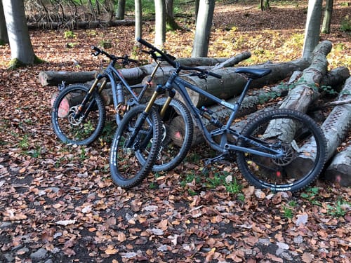 Saarwellingen - Schwarzenholz -Falscheid Rundweg