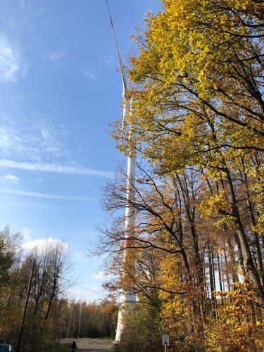 Saarwellingen - Schwarzenholz -Falscheid Rundweg