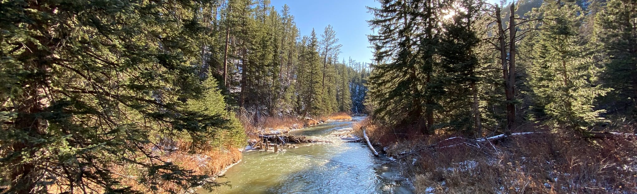 Deerfield Trail Silver City to Slate Creek, South Dakota 138 Reviews