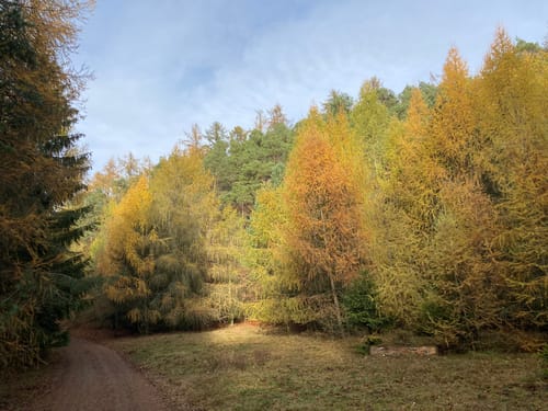 Hochspeicherbecken Eder