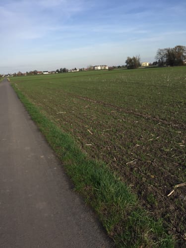 Stockstadt - Oppenheim - Eich