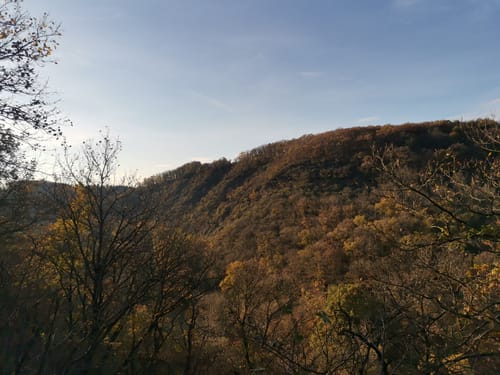 Nette Romantikpfad (Premiumspazierwanderweg)