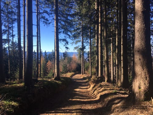 Fahrtkopf und Angerlkopf