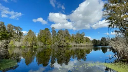 parques naturales en tampa fl