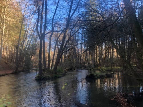 Unterbrunn ins Würmtal und Königswieser Forst