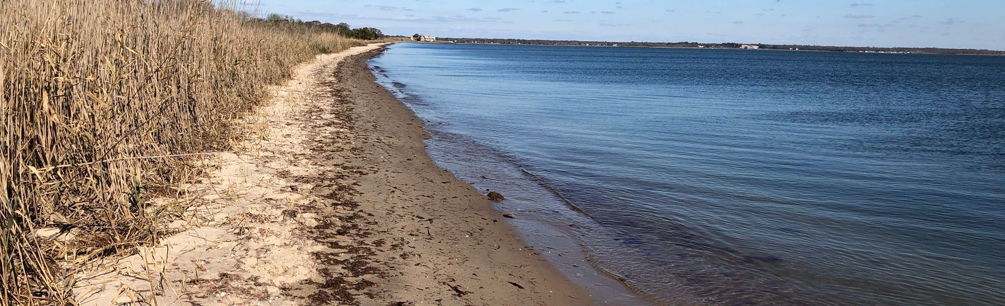 Long Island Greenbelt Trail: Heckscher State Park To Lakeland County ...