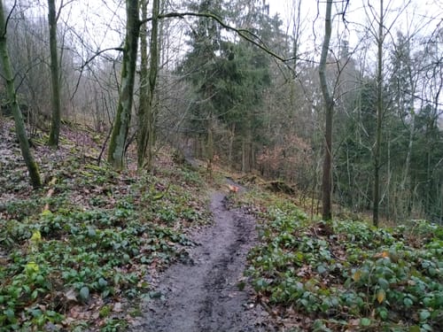 Oberer Dellenweg und Harkortberg Rundweg