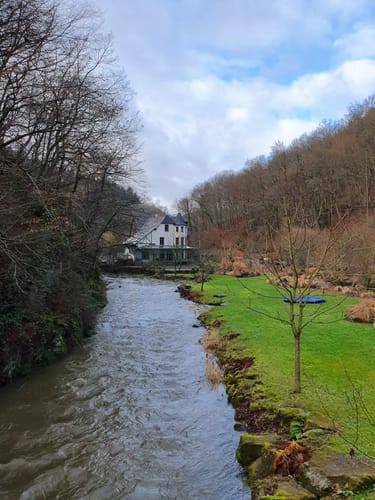 Förstersteig (Traumpfad)
