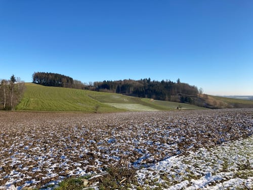Niedermühle Runde