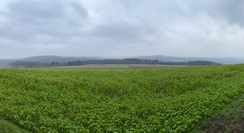 Vom Burgensaal zum Klosterglanz ab Bronnbach