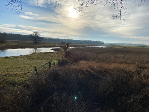 Über Pevestorfer Wiesen und Elbe