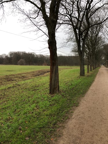 Langenhagener Stadtpark