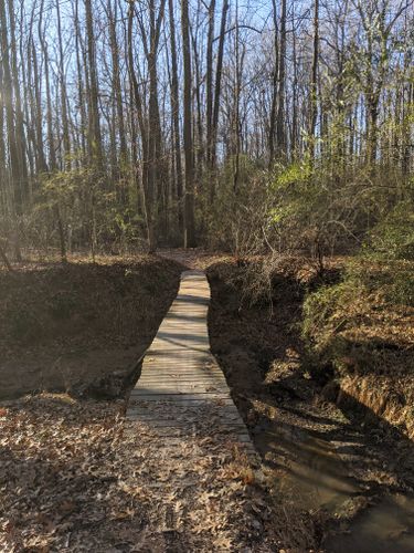 dirt bike trails near memphis tn