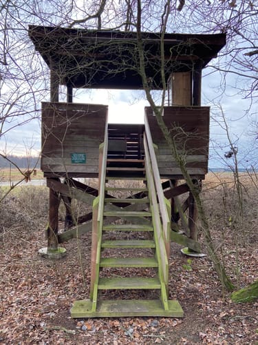 Über Pevestorfer Wiesen und Elbe