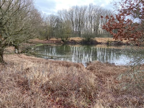 Über Pevestorfer Wiesen und Elbe