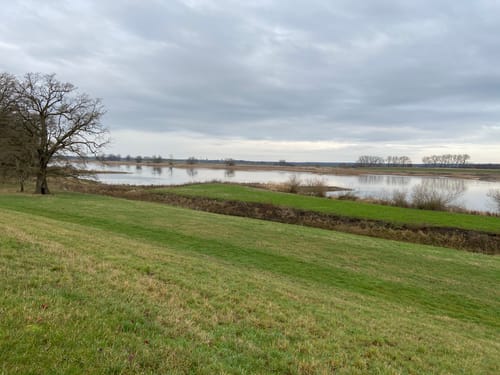 Über Pevestorfer Wiesen und Elbe