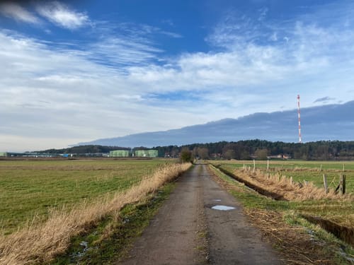 Über Pevestorfer Wiesen und Elbe