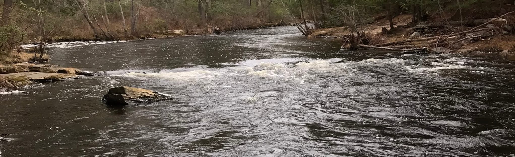 Squannacook River WMA Loop, Massachusetts 57 Reviews, Map AllTrails