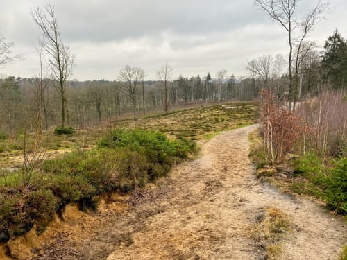 Wanderroute Waldhütten 17