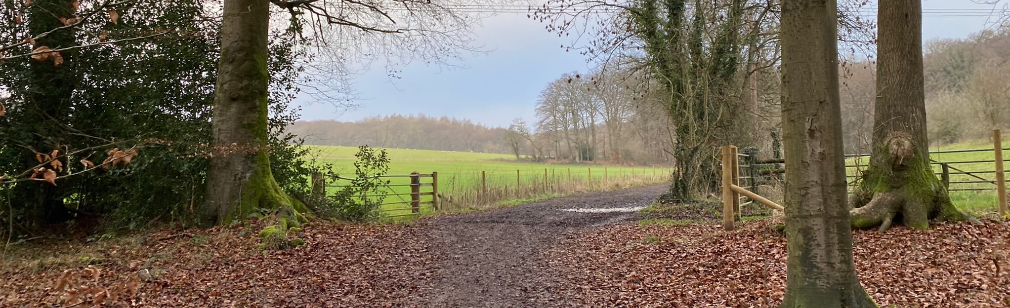 Gallowstree from Peppard Common, Oxfordshire, England - 36 Reviews, Map ...