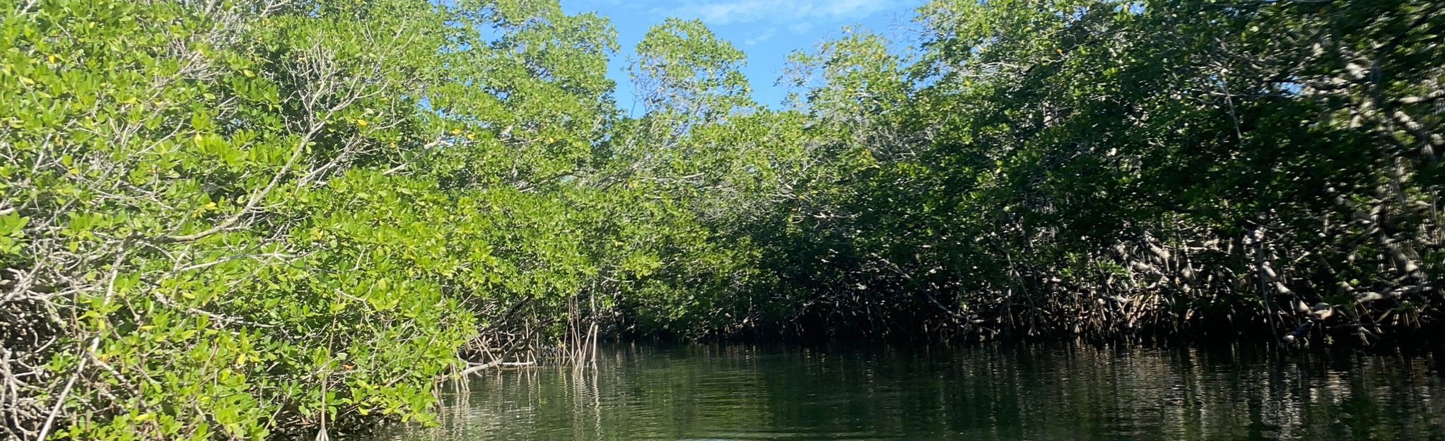 Key Largo to North Nest Key Paddle Route: 9 Reviews, Map - Florida ...