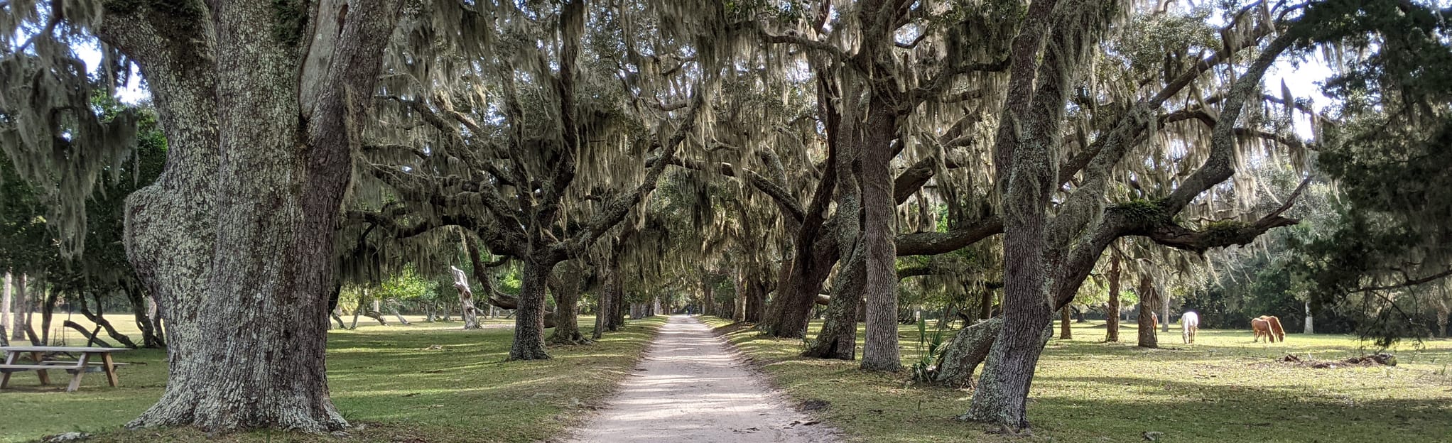 Parallel Trail to Yankee Paradise Campground, 190 Reviews