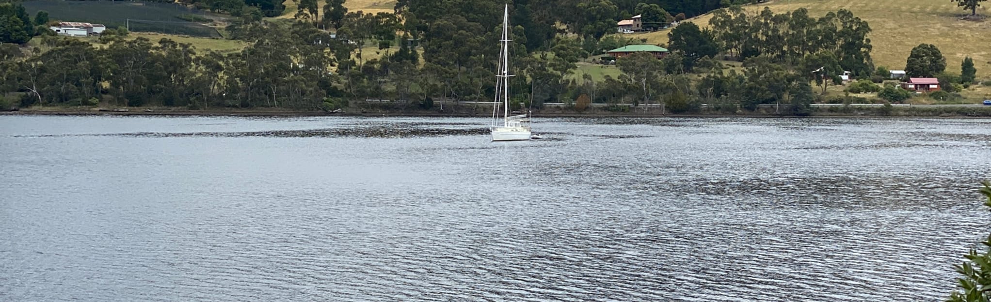 Yellow Boot Loop, Tasmania, Australia 32 Reviews, Map AllTrails