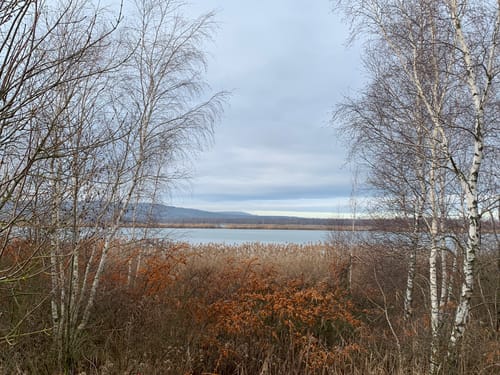 Um den Heerter See