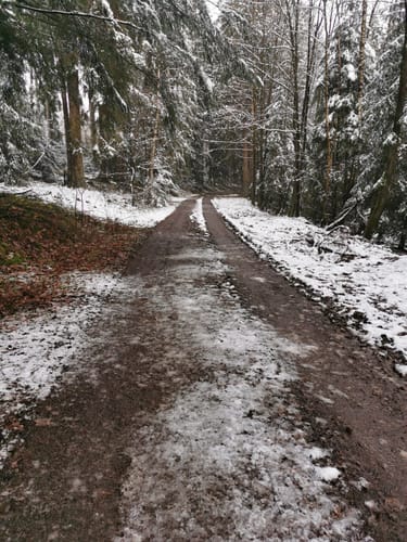 Um Kimickerberg und Schlammborn