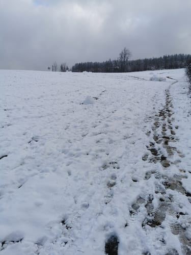 Um Kimickerberg und Schlammborn