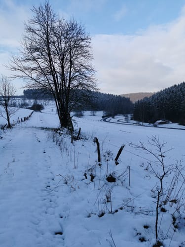 Um Kimickerberg und Schlammborn