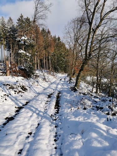 Um Kimickerberg und Schlammborn