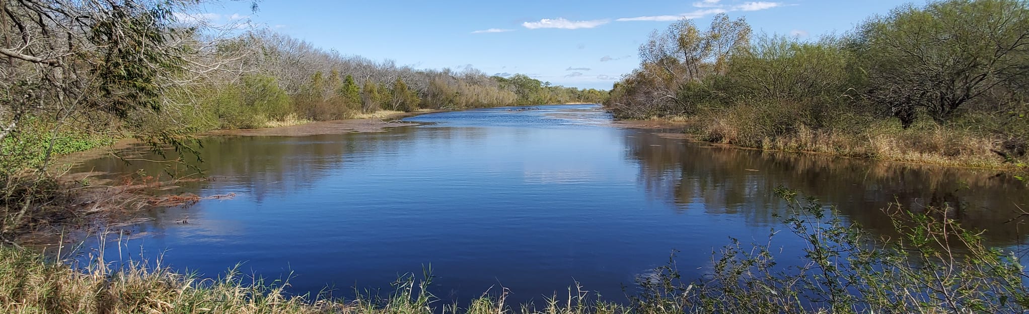 Mesquite Trail and Tram Loop, Texas - 91 Reviews, Map | AllTrails