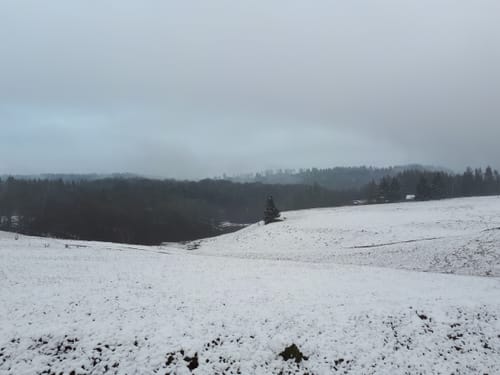 Entlang der Eder ins Tal der Nuhne