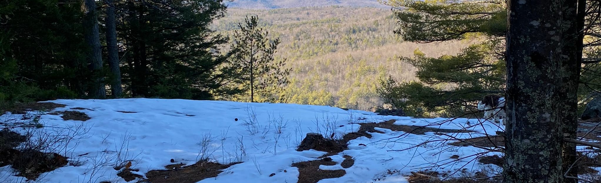 Sugar Hill, New Hampshire 25 Reviews, Map AllTrails