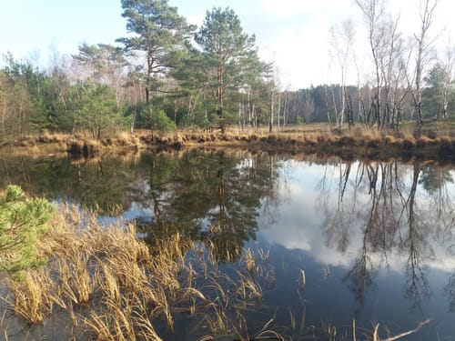 Teverener Heide Seenrundweg