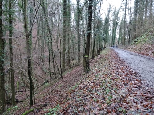 BR13 Untergrombach Ungeheuerklamm Weiertle