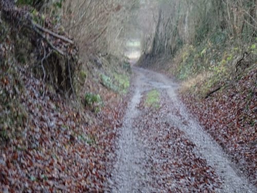 BR13 Untergrombach Ungeheuerklamm Weiertle