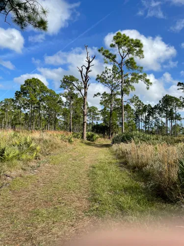 Best Hikes and Trails in St. Sebastian River Preserve State Park ...