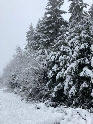 Schanzerkopf-Tour (Traumschleife)
