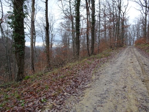 BR13 Untergrombach Ungeheuerklamm Weiertle