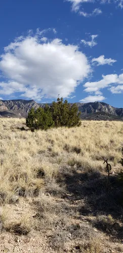 10 Best Hikes and Trails in Elena Gallegos Picnic Area/Albert G. Simms ...
