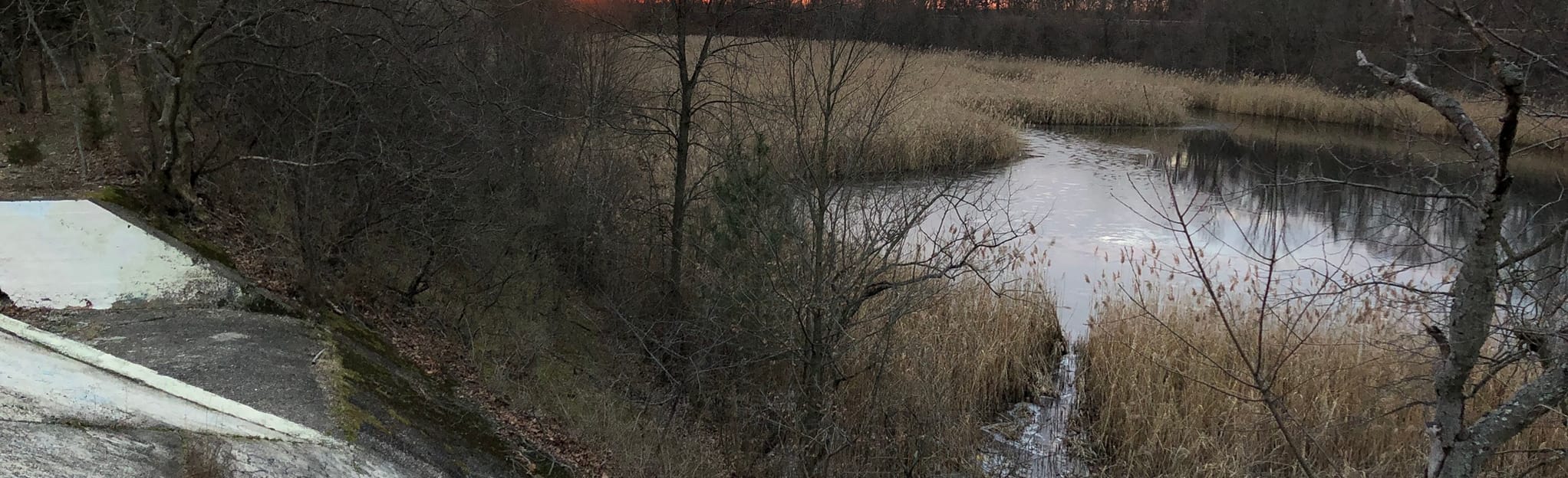 Upper Roxborough Reservoir, Pennsylvania 32 Reviews, Map AllTrails