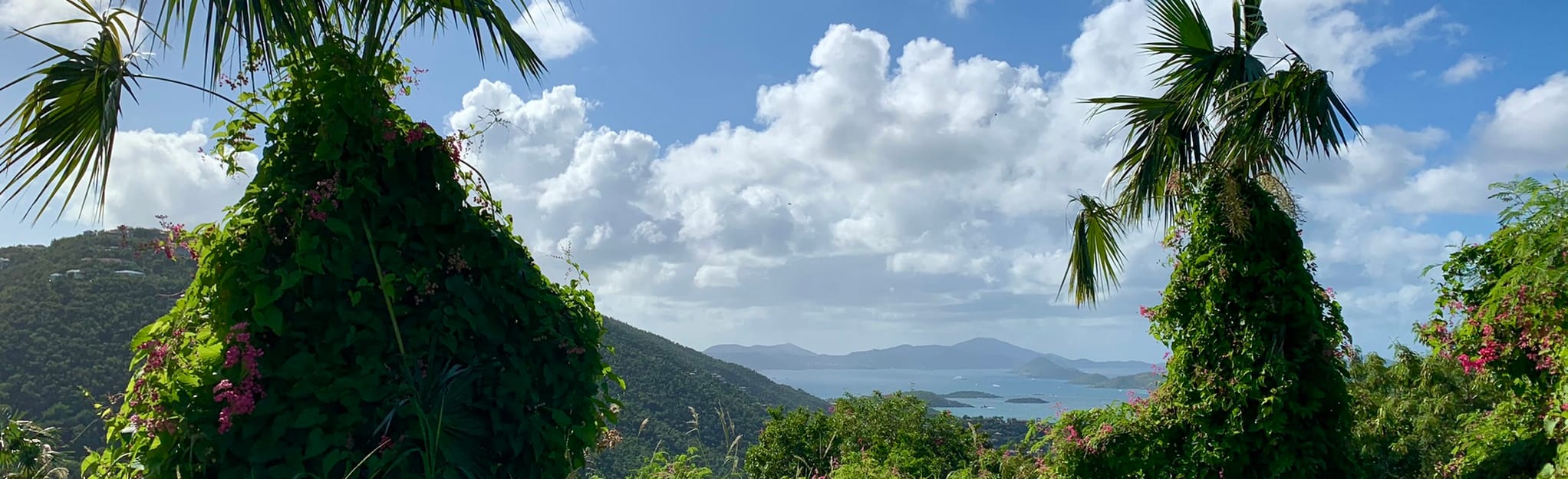 America Hill via Cinnamon Bay Trail 279 foto's Saint John, US Virgin