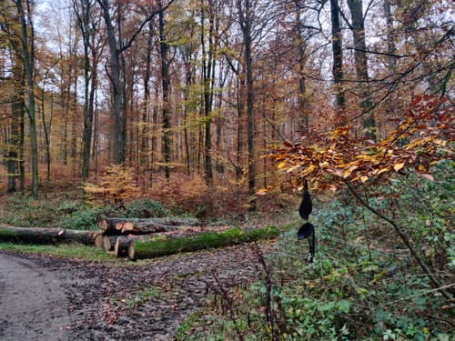 Lahnwanderweg Etappe 14: Aumenau - Villmar