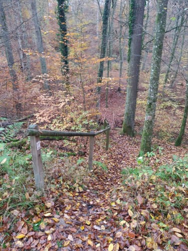 Lahnwanderweg Etappe 14: Aumenau - Villmar