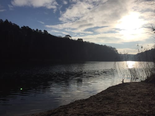 Um den Gamensee