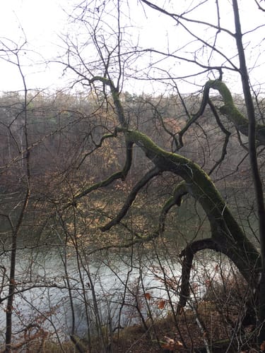 Um den Gamensee